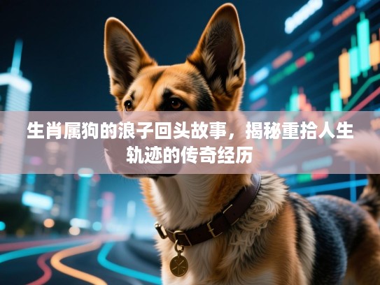 生肖属狗的浪子回头故事，揭秘重拾人生轨迹的传奇经历