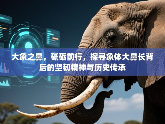 大象之鼻，砥砺前行，探寻象体大鼻长背后的坚韧精神与历史传承