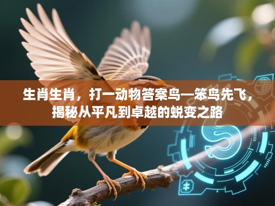 生肖生肖，打一动物答案鸟—笨鸟先飞，揭秘从平凡到卓越的蜕变之路