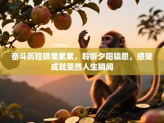 奋斗历程硕果累累，聆听夕阳猿怨，感受成就斐然人生瞬间