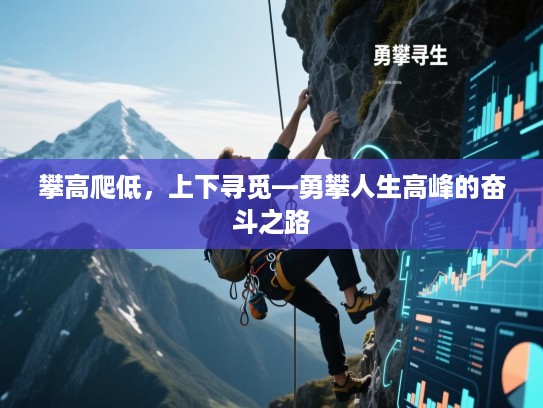 攀高爬低,上下寻觅—勇攀人生高峰的奋斗之路 攀高爬低,上下寻觅—勇攀人生高峰的奋斗之路