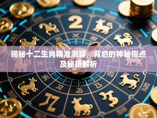 揭秘十二生肖精准测算，背后的神秘指点及秘籍解析
