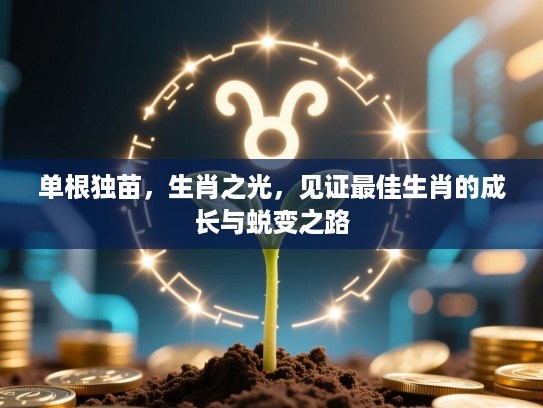 单根独苗,生肖之光,见证最佳生肖的成长与蜕变之路 单根独苗,生肖之光,见证最佳生肖的成长与蜕变之路