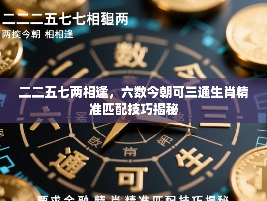 二二五七两相逢，六数今朝可三通生肖精准匹配技巧揭秘