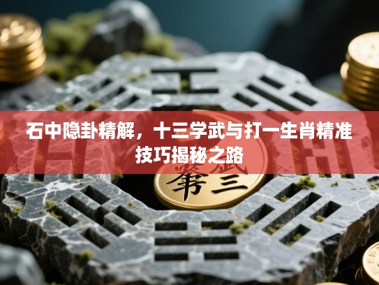 石中隐卦精解,十三学武与打一生肖精准技巧揭秘之路 石中隐卦精解,十三学武与打一生肖精准技巧揭秘之路