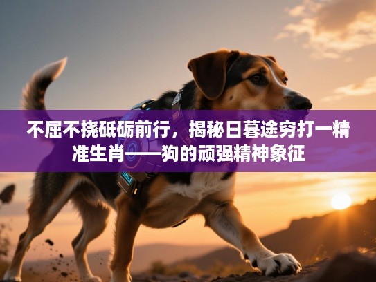不屈不挠砥砺前行,揭秘日暮途穷打一精准生肖——狗的顽强精神象征 不屈不挠砥砺前行,揭秘日暮途穷打一精准生肖——狗的顽强精神象征