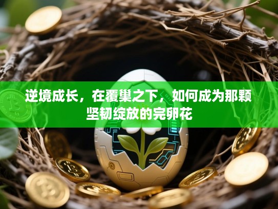 逆境成长，在覆巢之下，如何成为那颗坚韧绽放的完卵花