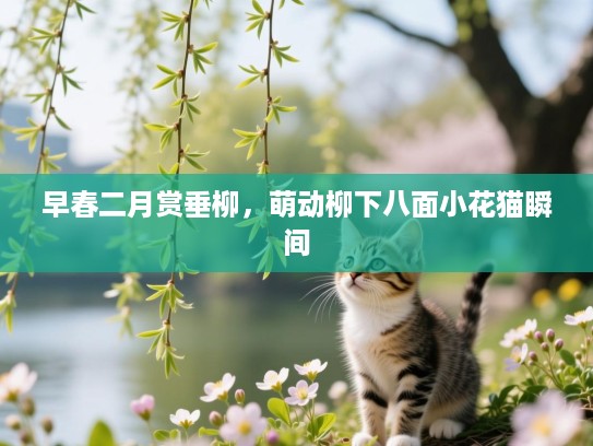 早春二月赏垂柳，萌动柳下八面小花猫瞬间