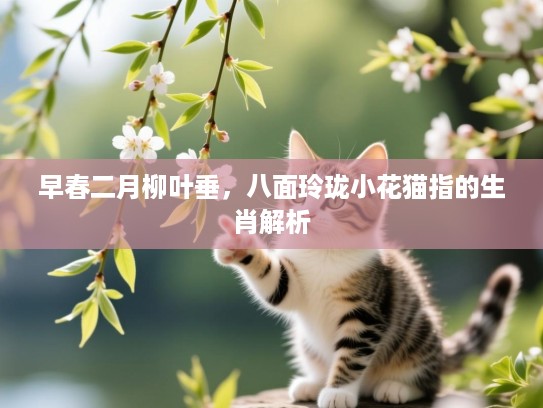 早春二月柳叶垂,八面玲珑小花猫指的生肖解析 早春二月柳叶垂,八面玲珑小花猫指的生肖解析