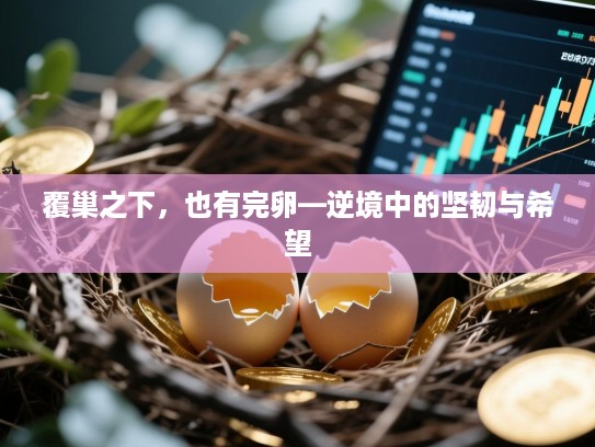 覆巢之下，也有完卵—逆境中的坚韧与希望