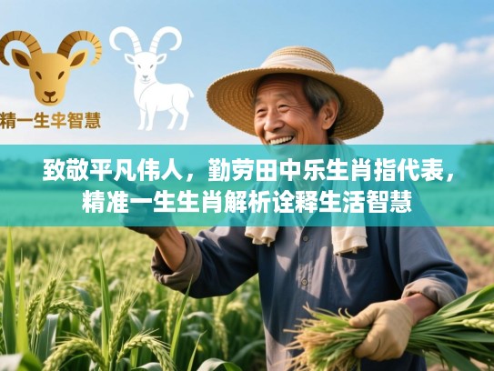 致敬平凡伟人,勤劳田中乐生肖指代表,精准一生生肖解析诠释生活智慧 致敬平凡伟人,勤劳田中乐生肖指代表,精准一生生肖解析诠释生活智慧