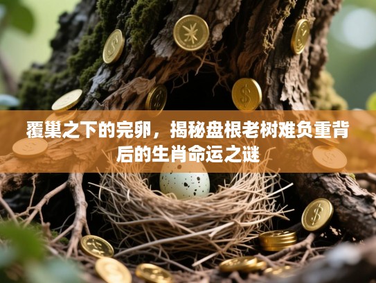 覆巢之下的完卵，揭秘盘根老树难负重背后的生肖命运之谜