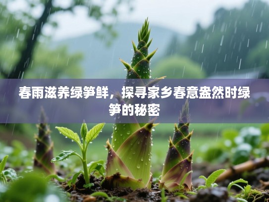 春雨滋养绿笋鲜,探寻家乡春意盎然时绿笋的秘密 春雨滋养绿笋鲜,探寻家乡春意盎然时绿笋的秘密
